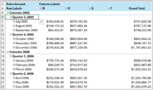 The Expanded PivotTable