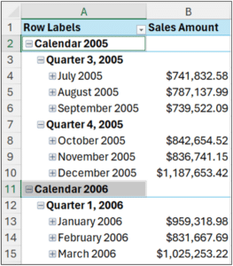 Excel- The expanded PivotTable